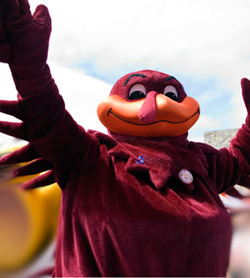 HokieBird