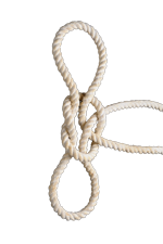 Tom fool's knot