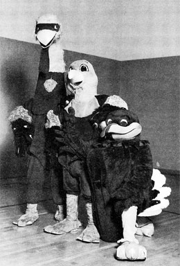 The HokieBird and his predecessors