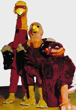 3 versions of the HokieBird