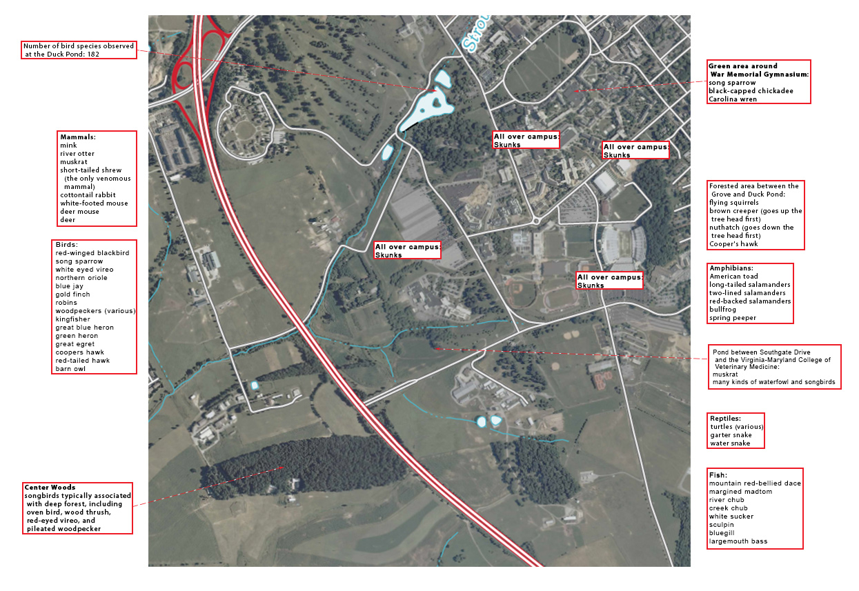 campus aerial view showing locations of wildlife