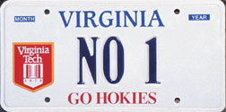 VT plate