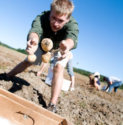 Community involvement class practices active citizenship at Dining Services Garden at Kentland Farm