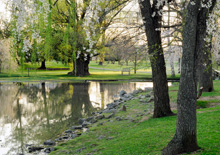 For the third consecutive year, Virginia Tech has earned Tree Campus USA recognition from the Arbor Day Foundation for the university's dedication to campus forestry management and environmental stewardship. 