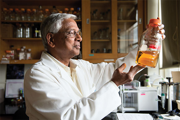 Nammalwar "Nathan" Sriranganathan, a professor of biomedical sciences and pathobiology at the veterinary college