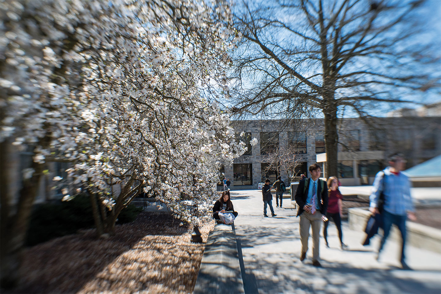 Virginia Tech campus