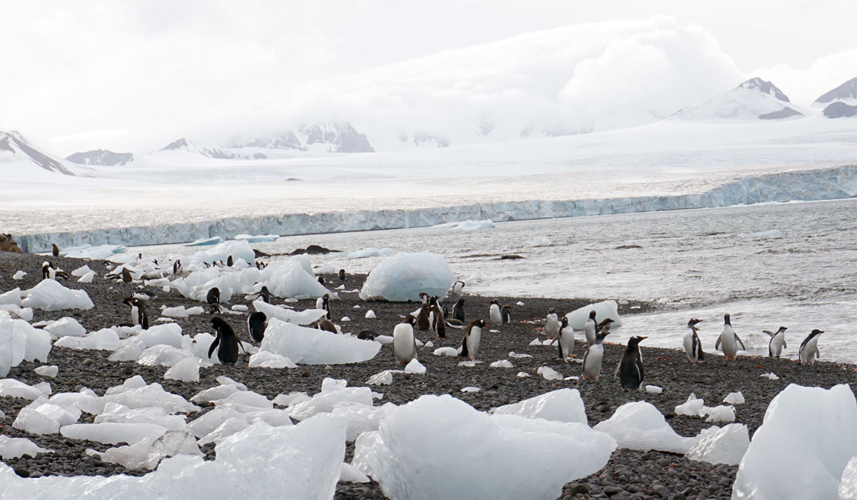 Virginia Tech Alumni Association trip to Antarctica