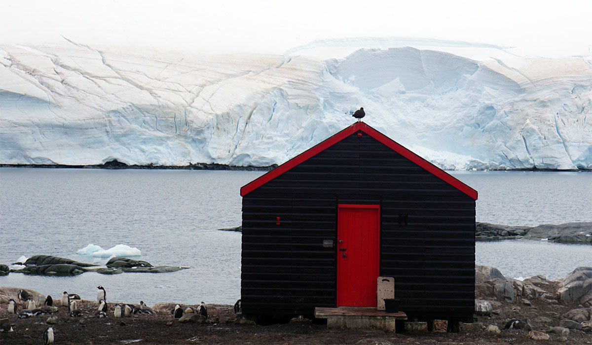 Virginia Tech Alumni Association trip to Antarctica