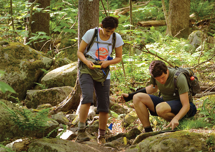 Virginia Tech College of Natural Resources and Environment students 