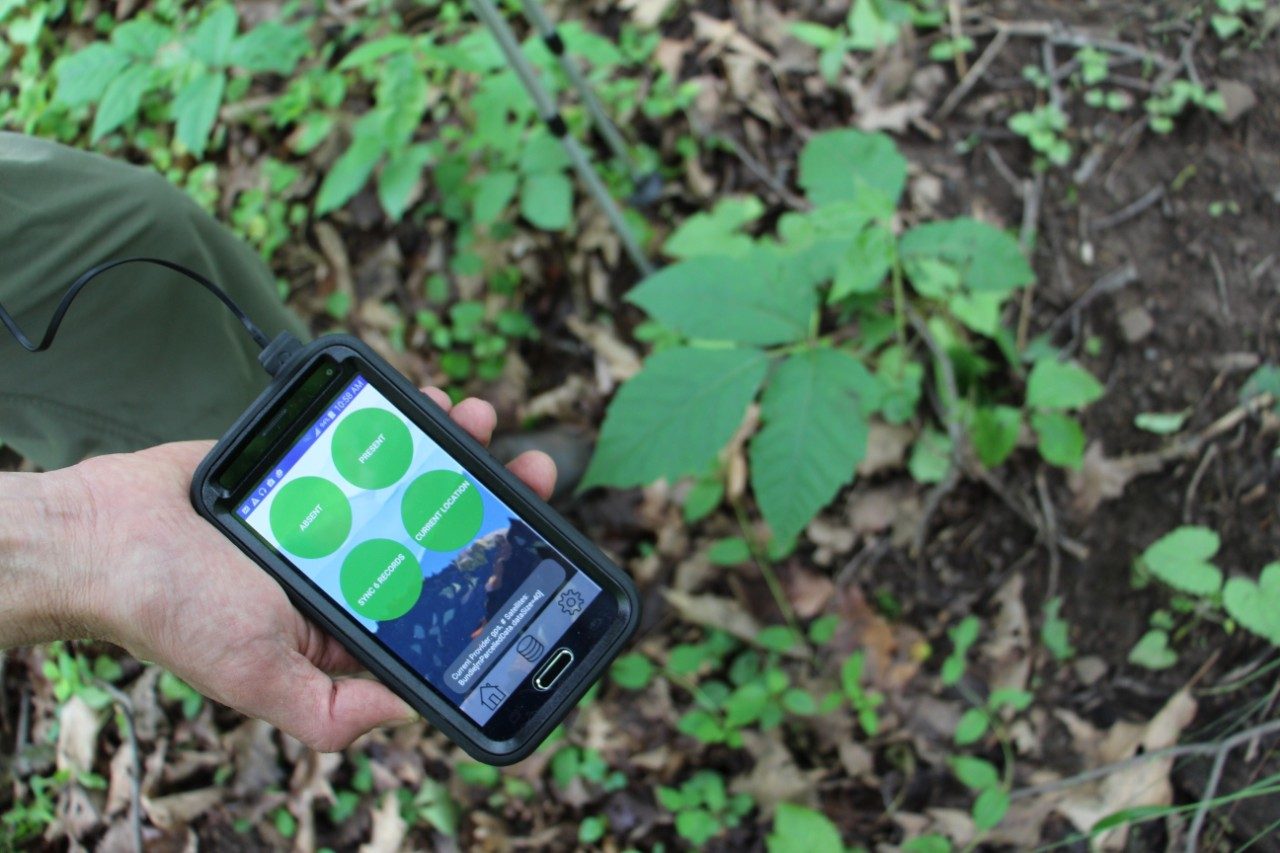 poison ivy and smartphone