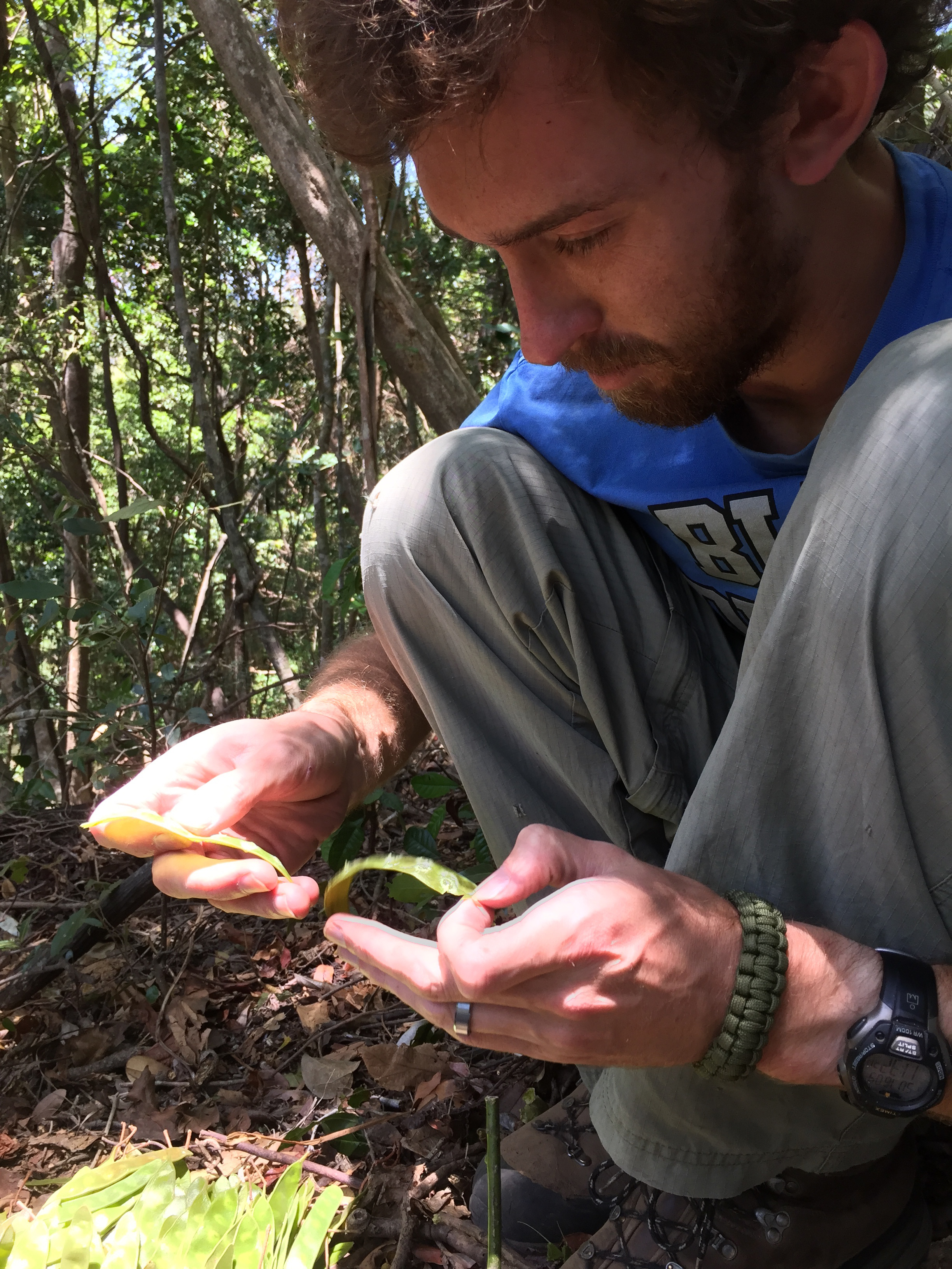 Brandon Semel working with native plants