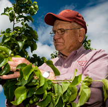 Alumnus Paul Saunders '54 cultivates a love of Virginia Tech