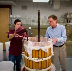 wine making photo