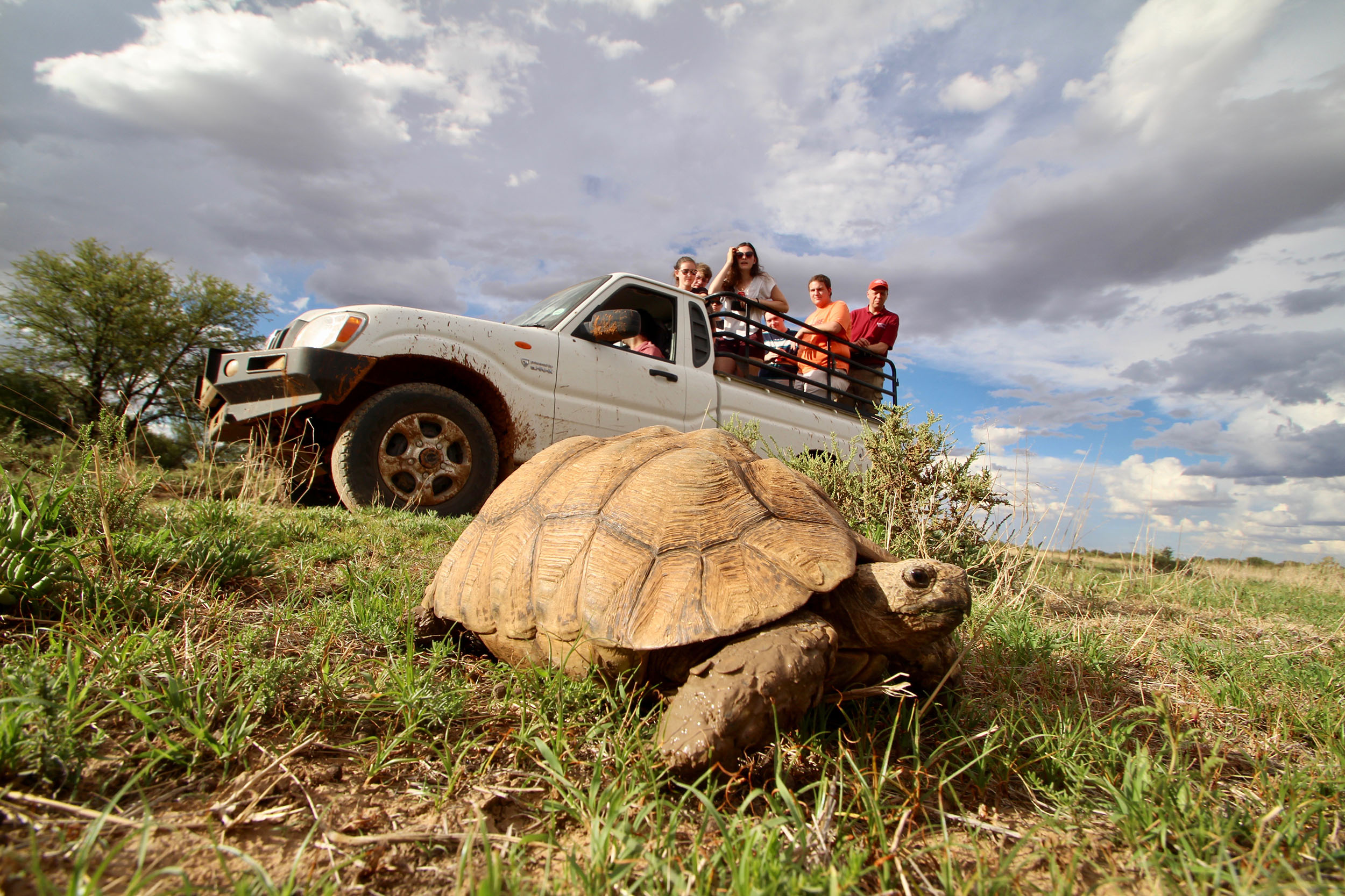 The small animals on the safari were as interesting as the big ones.