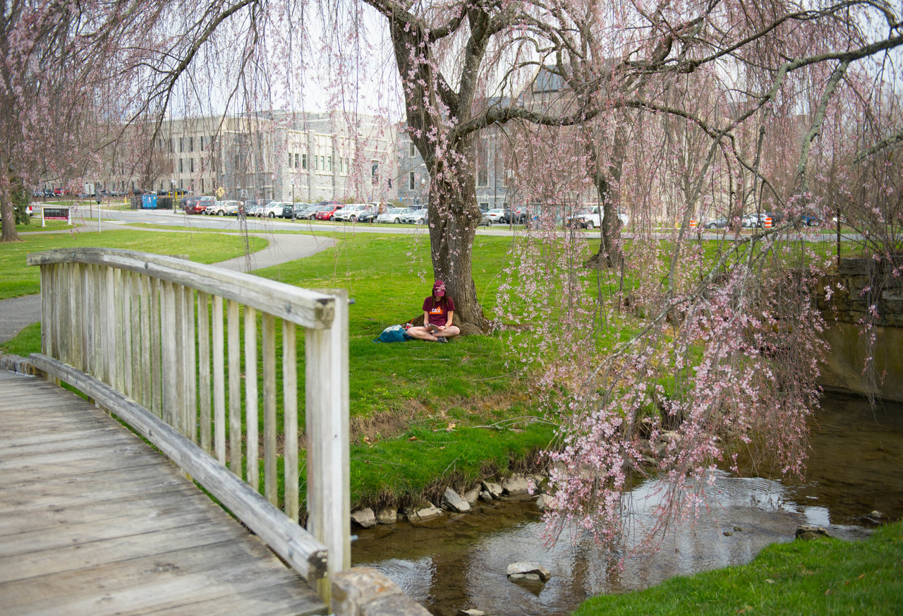 student under a campus tree