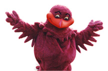 Hokie Bird