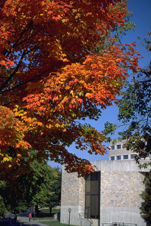 campus in fall