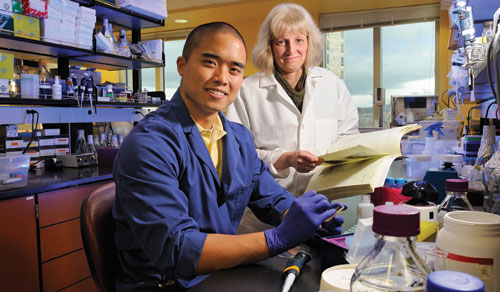 Senior biological sciences major Tim Nguyen is learning how to protect plant roots in Associate Professor Dorothea Tholl's lab.