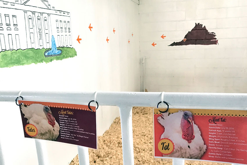 Gobblers Rest, located inside Virginia Tech's Livestock Judging Pavilion